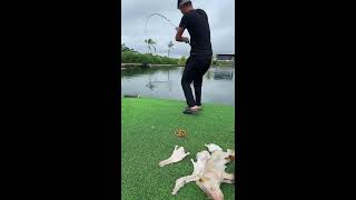 🔥Live Fishing: Catching Big Fish Today! 🎣