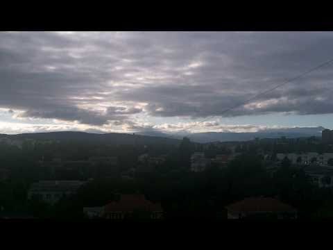 Ноггано - Птицы