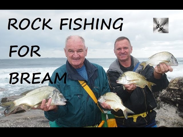 Rock Fishing for Black Fish, Fishing & Cooking