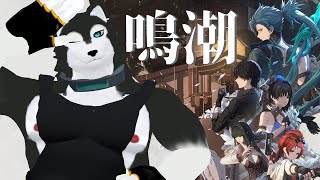 【 #鳴潮 】のんびり めいちょうさんで あそぼ【 #ケモV 】