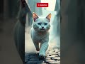 Do not open this video"On a Cold Night, a Cat Saveda Man’s Life  Heart TouchingCat Story"#cartoon#ai
