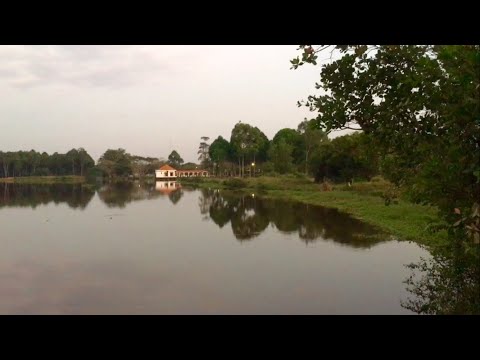 Video Bán đất mặt tiền hồ view đẹp hiếm có như Đà Lạt hoàng... - youtube