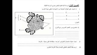 اختبار الفصل 1 في العلوم الطبيعية للسنة 2 ثانوي اداب و فلسفة مع التصحيح