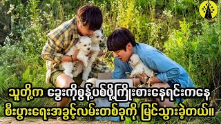 သူတို့က ခွေးကိုစွန့်ပစ်ဖို့ကြိုးစားနေရင်းကနေ စီးပွားရေးအခွင့်လမ်းကြီးကို တွေ့မြင်သွားခဲ့တယ်။