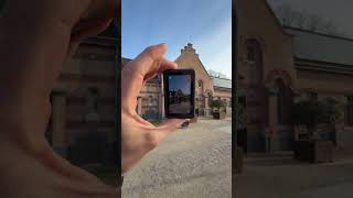 6 Looks For The DJI Osmo Action 6 | Which One Wins?