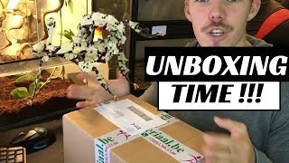 SPECIAL STICK INSECT UNBOXING !!