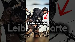 What German Troops Were Actually Issued the STG44? #shorts