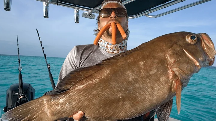 Fishing with Hot Dogs *Offshore* {Catch and Cook}