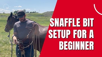 Snaffle Bit Setup For A Beginner - The First Bit I Ever Bought!