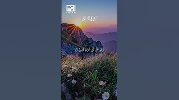تلاوة خاشعة من سورة الملك للقارئ سعد الغامدي  #اكسبلور