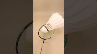 Fixing a Simple User Mistake