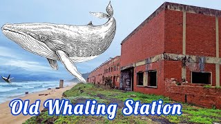 Exploring an Old Whaling Station | Bluff  Durban | South Africa