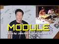 MODULE (parody song)