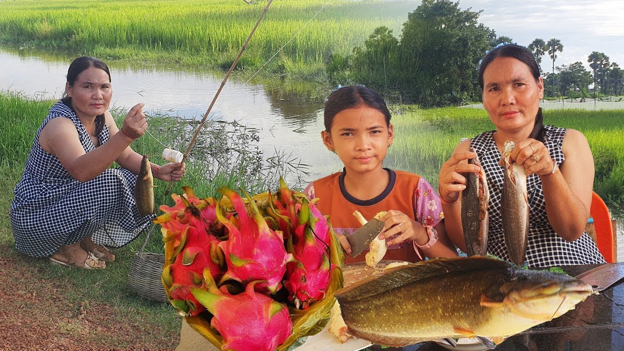 Fishing fish in canal - Cooking fish Ginger recipe | Rural Cooking Life