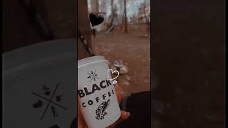 black coffee تفضلو اركيلة