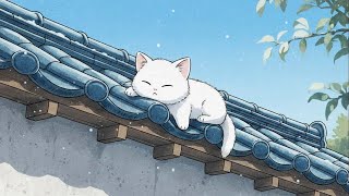 Relaxing Music for Stress Relief 🍃 [Lofi Relaxing Beats]