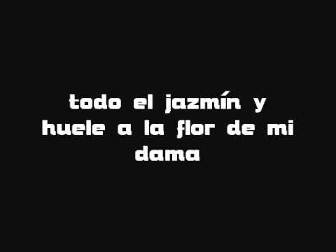 Fondo Flamenco- Mi estrella Blanca Letra