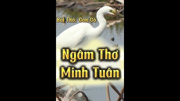 #shorts Bài Thơ Con Cò - Ngâm Thơ Minh Tuân