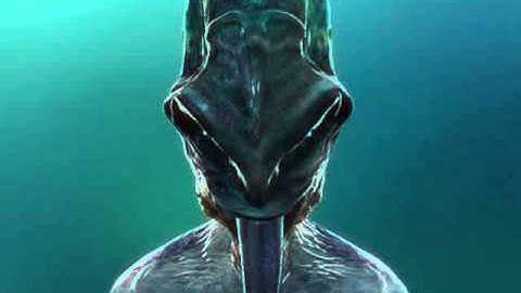 Displacement Map Animation