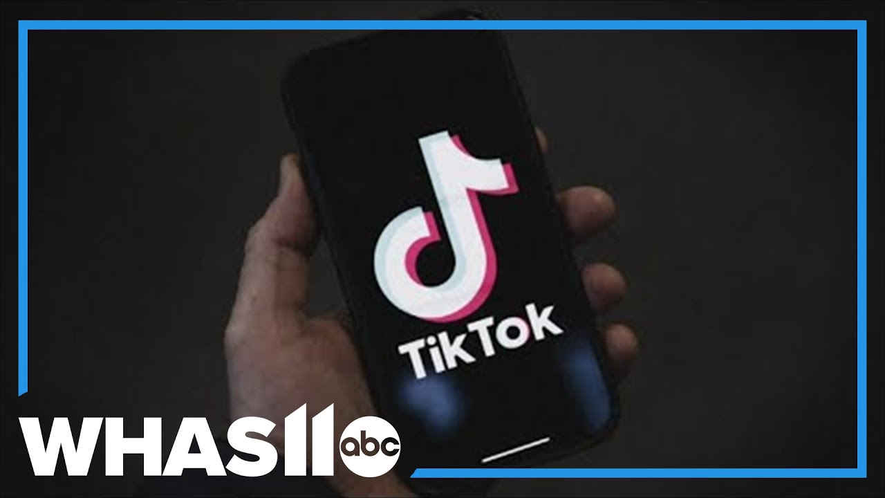 Trump asks Supreme Court to hold TikTok ban until after he takes office
