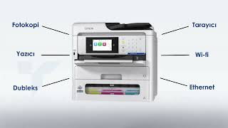 Epson Em-C800 Yazıcı Özellikleri