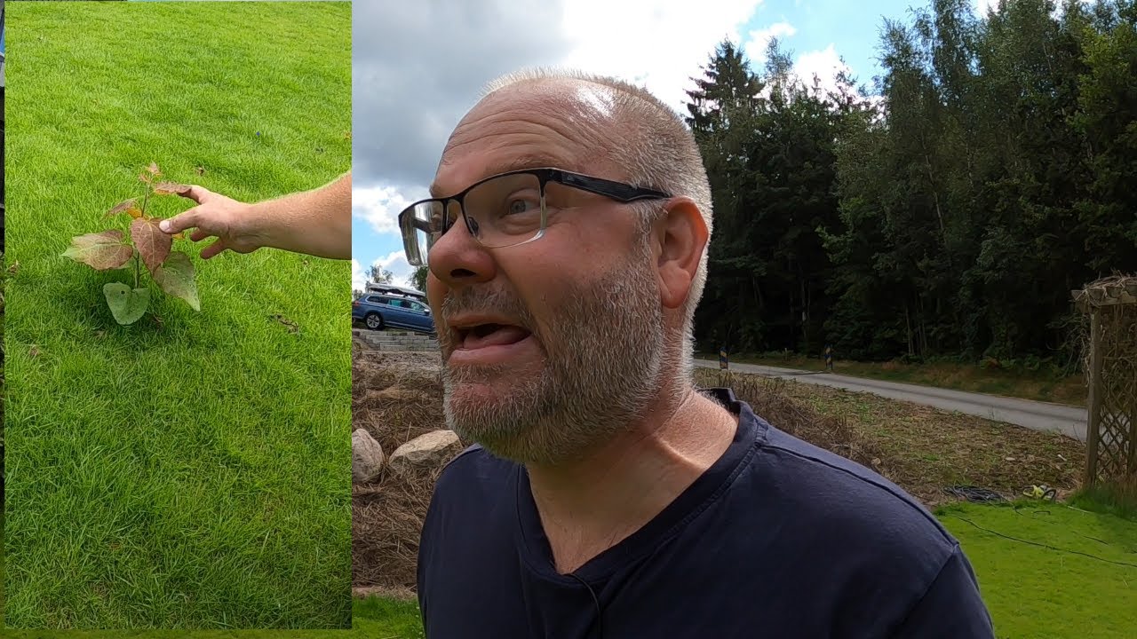 Trädgården Efter Sommaren – Ogräs, Kaos & Nystart! (Del 1)