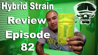 Hybrid Strain Review- Apple 🍏 Sherbet