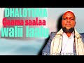 Shek Abdusalam DHALOTUMA QAAMA SAALAA WALII DALAGAA GODHATE 
