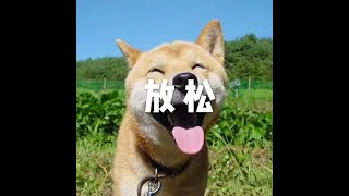 201509 放松21618