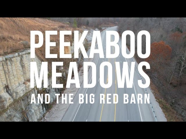 Peekaboo Meadows And The Big Red Barn | A Hipcamp Experience | Camping In Tennessee
