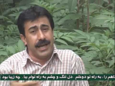 جهانگير حاجی پور ترانه کردی و طالشی 