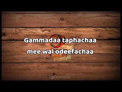 Musxafa Harawe Gamadii Me New Music 2016 Audio Official Kizzan Ko Music