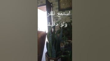 احترم للقران الكريم ولو دقيقة🇵🇸