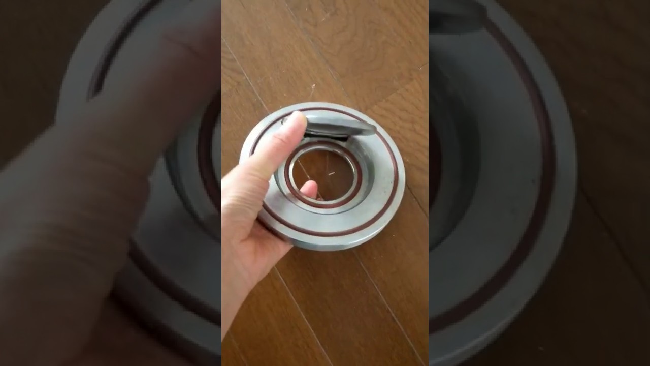 single door check valve