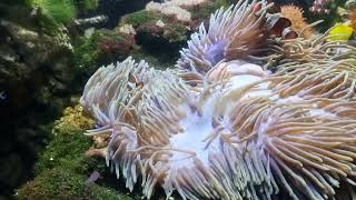 Tropicarium Budapešť