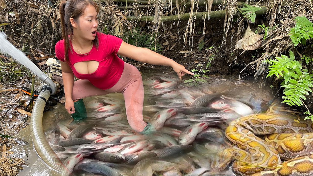 Girl Fishing, A Big Surprise In The Abandoned Lake. Harvesting Many Natural Fish | Amazing Fishing