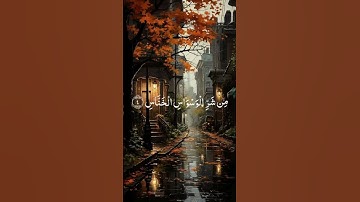 سورة الناس بصوت القارئ الشيخ ماهر المعيقلي