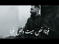 عتابا عدلي يا دنيا فينا ونصفينا 