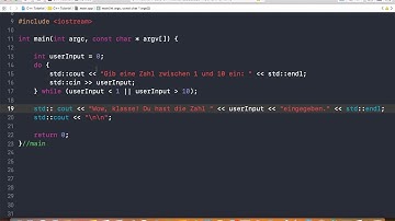 C++ mit Xcode programmieren - So funktioniert die do-while-Schleife