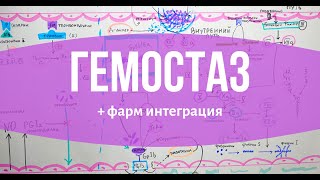 ГЕМОСТАЗ за 15 минут // + интеграция с фармакологией