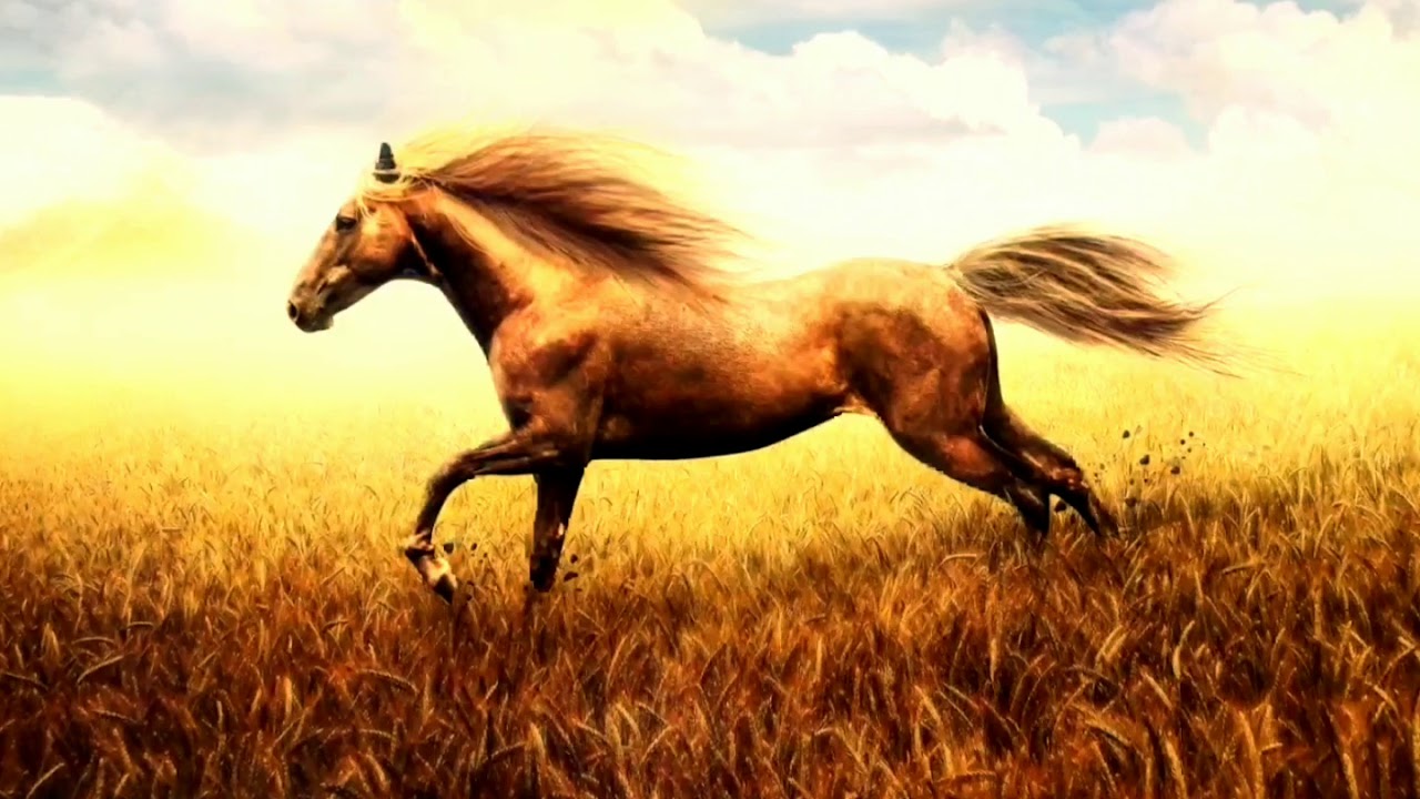 KAin (ARTIF@KT) - Погоня за мечТОй