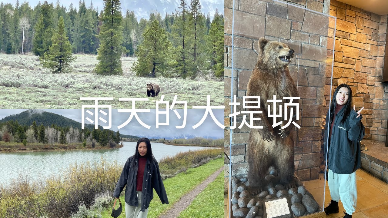 雨天的大提顿国家公园Day1｜看到野生棕熊了！Grand Teton National Park