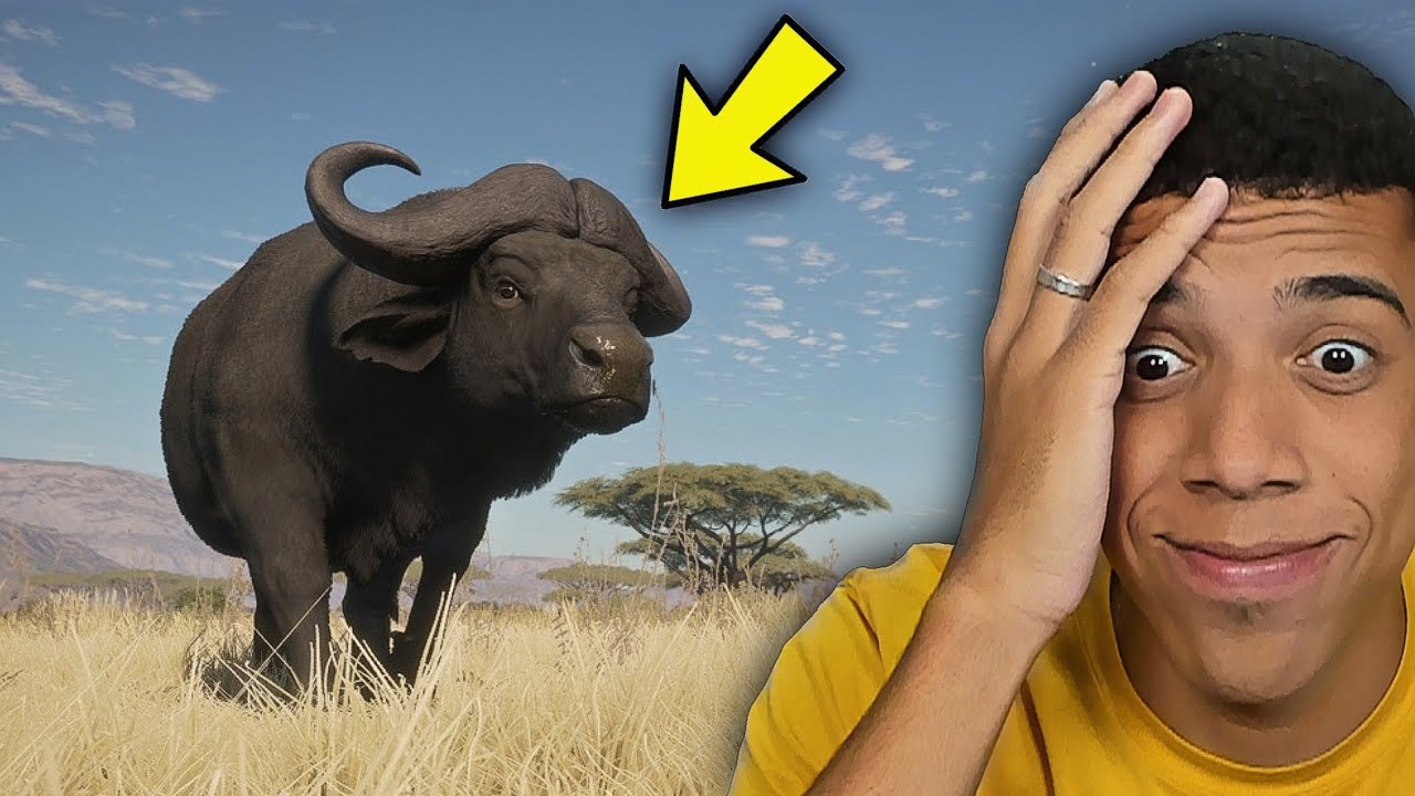 OS BÚFALOS QUEREM ACABAR COMIGO! ( ME ATACARAM ) - The Hunter