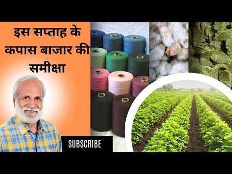 साप्ताहिक कपास बाजार पर एक नज़र Weekly cotton market rate #smartinfo #cotton #kapas #bulletin