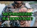 МОРМЫШИНГ. А НА ПОРОЛОН КЛЮЁТ?