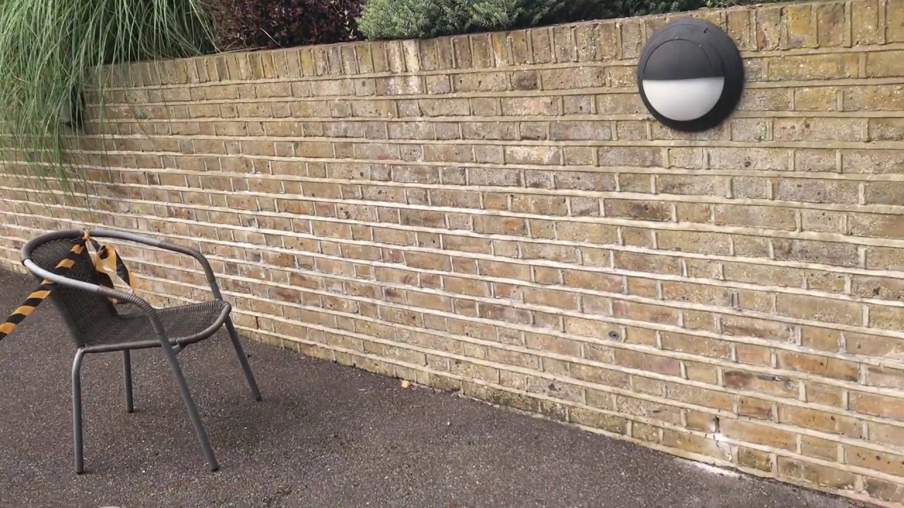 Wasp Nest Removal In Garden Wall In Iver Bucks  - 020-8848-1254 For Same Day Wasp Control