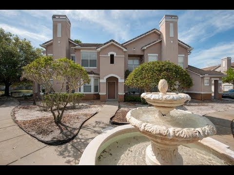 18001 Villa Creek Dr, Tampa, FL home video tour