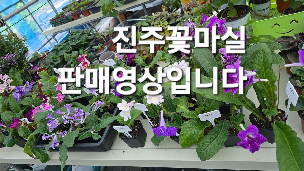July 3rd Flower Sale Video - Giveaways Completed - YouTube