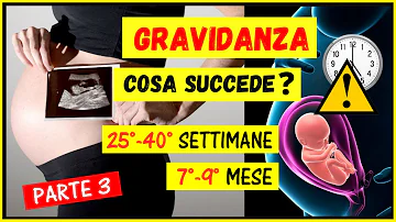 In quale settimana si entra nel 7 mese?