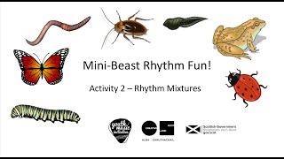 Mini   Beasts Rhythm Fun Activity 2